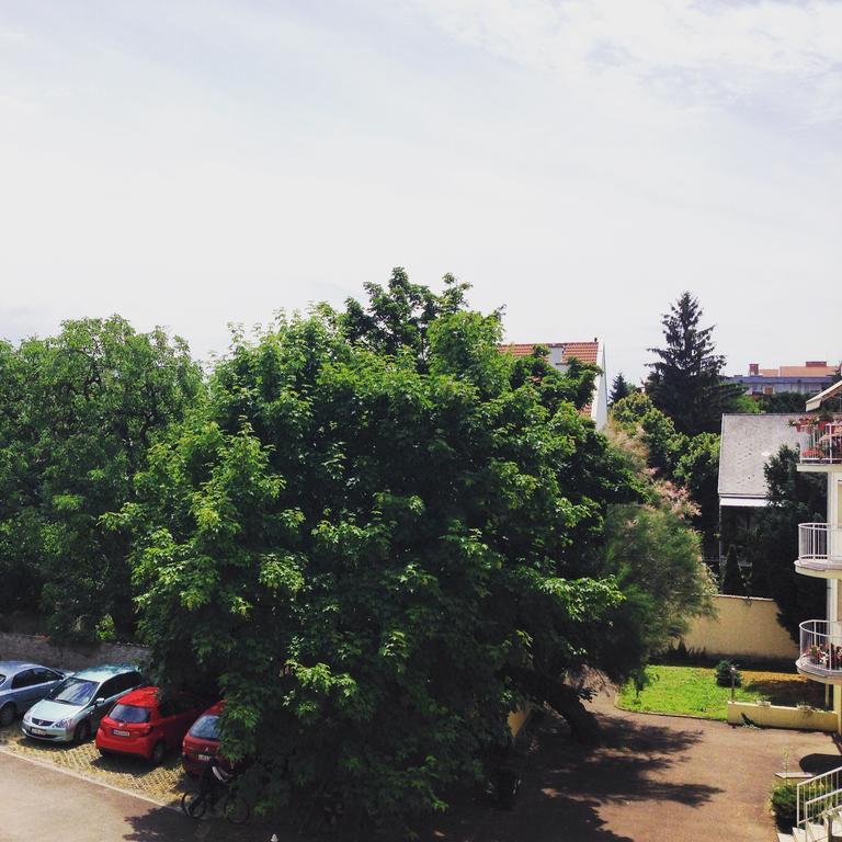 Tuenderpart Apartment Eger Quarto foto